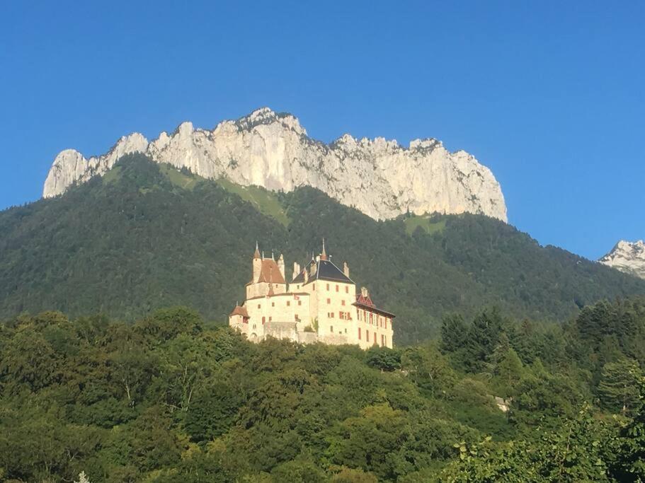 Maison 3 Chambres Au Lac D'Annecy, 30Min La Clusaz 망통생베르나드 외부 사진